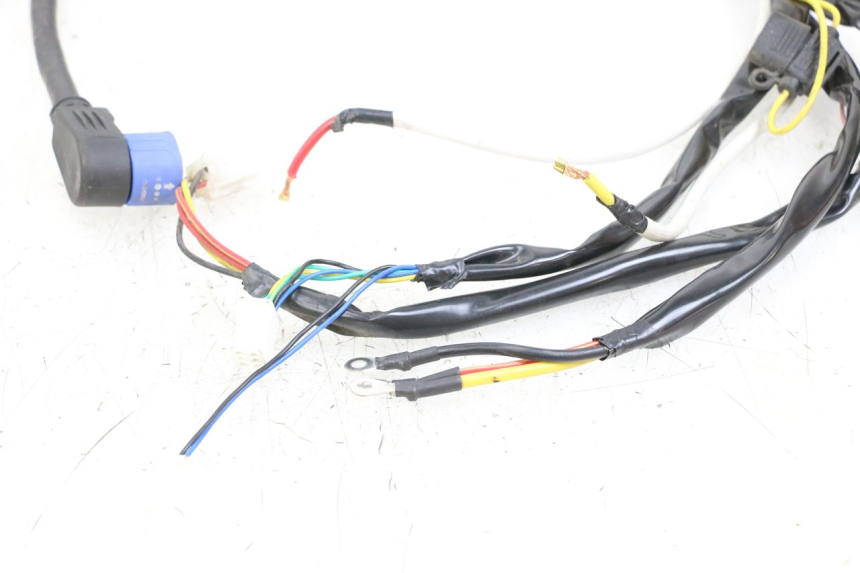 photo de CABLEADO WAYSCRAL E-START 1 (2018 - 2022)