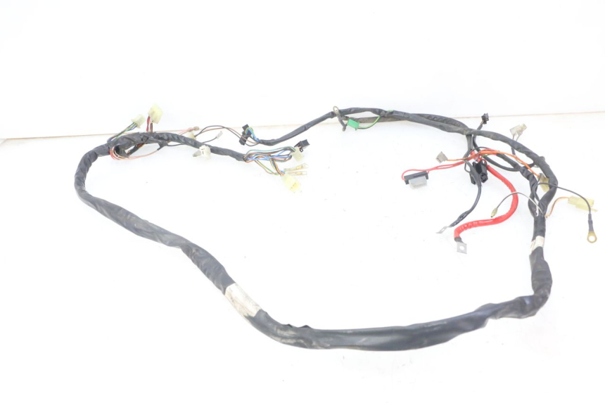 photo de CABLEADO YAMAHA WHY 50 (1998 - 2000)