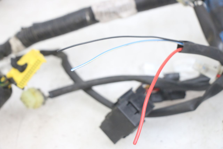 photo de CABLEADO YAMAHA X-MAX XMAX 250 (2006 - 2009)