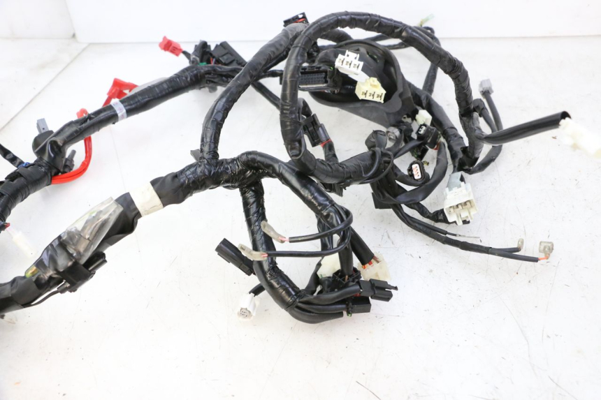photo de CABLEADO YAMAHA XMAX X-MAX 125 (2021 - 2025)