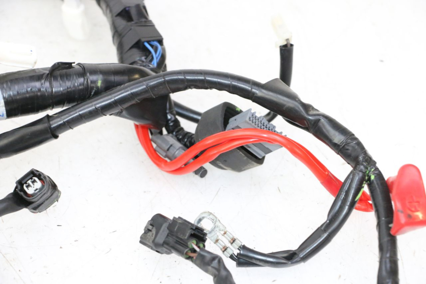 photo de CABLEADO YAMAHA XMAX X-MAX 125 (2021 - 2025)