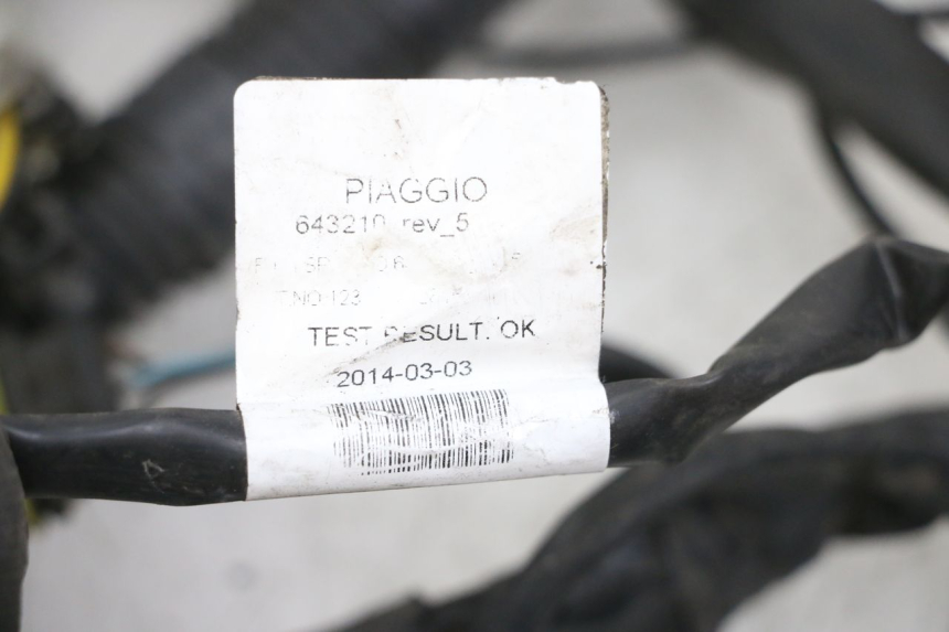 photo de CABLEADO PIAGGIO X10 125 (2012 - 2017)