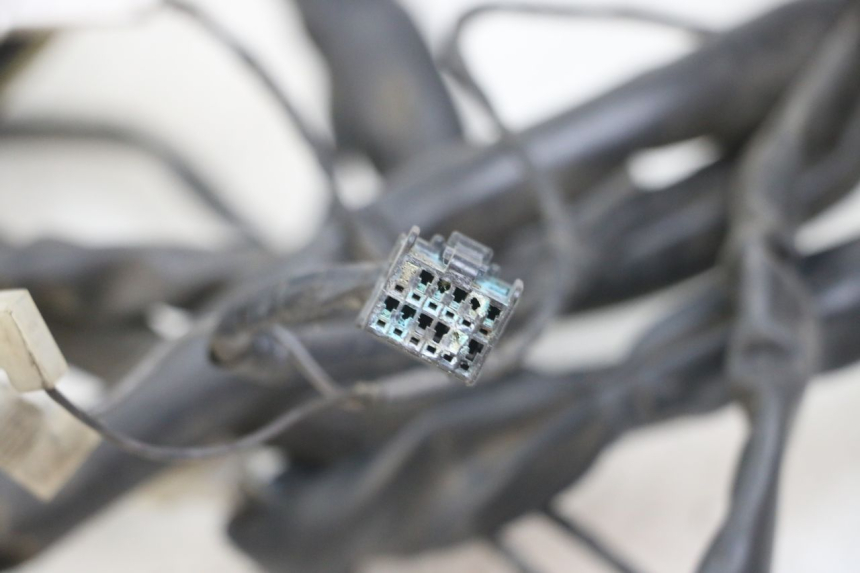 photo de CABLEADO PIAGGIO X10 125 (2012 - 2017)