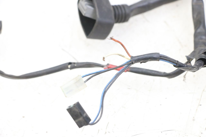 photo de CABLEADO PIAGGIO X10 125 (2012 - 2017)