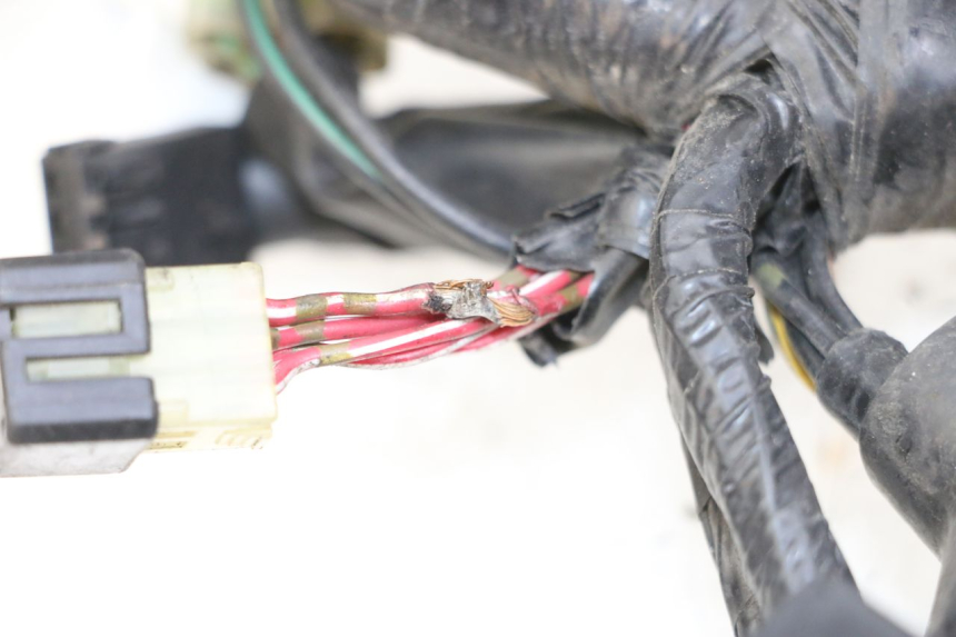 photo de CABLEADO YAMAHA XJ6 ABS 600 (2008 - 2016)