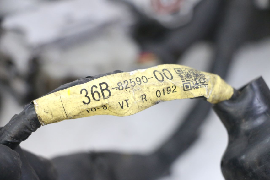 photo de CABLEADO YAMAHA XJ6 ABS 600 (2008 - 2016)