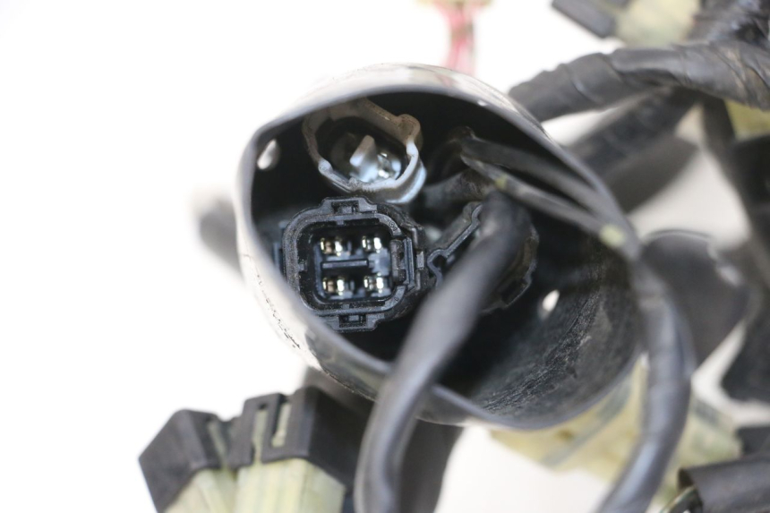 photo de CABLEADO YAMAHA XJ6 ABS 600 (2008 - 2016)
