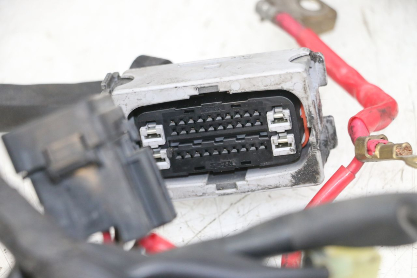 photo de CABLEADO YAMAHA XJ6 ABS 600 (2008 - 2016)