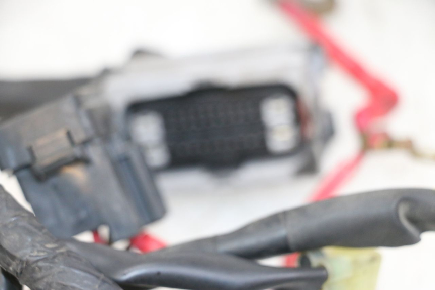 photo de CABLEADO YAMAHA XJ6 ABS 600 (2008 - 2016)