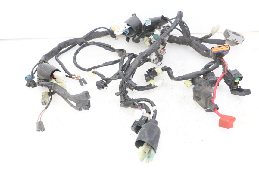 photo de CABLEADO YAMAHA XJ6 ABS 600 (2008 - 2016)