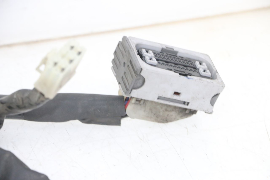 photo de CABLEADO YAMAHA XJ6 ABS 600 (2008 - 2016)