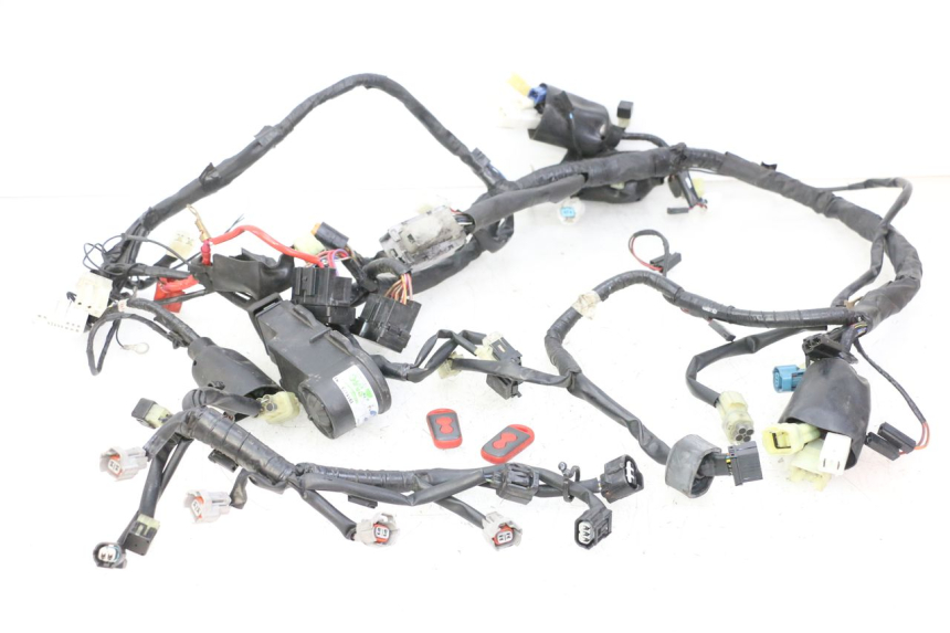 photo de CABLEADO YAMAHA XJ6 ABS 600 (2008 - 2016)