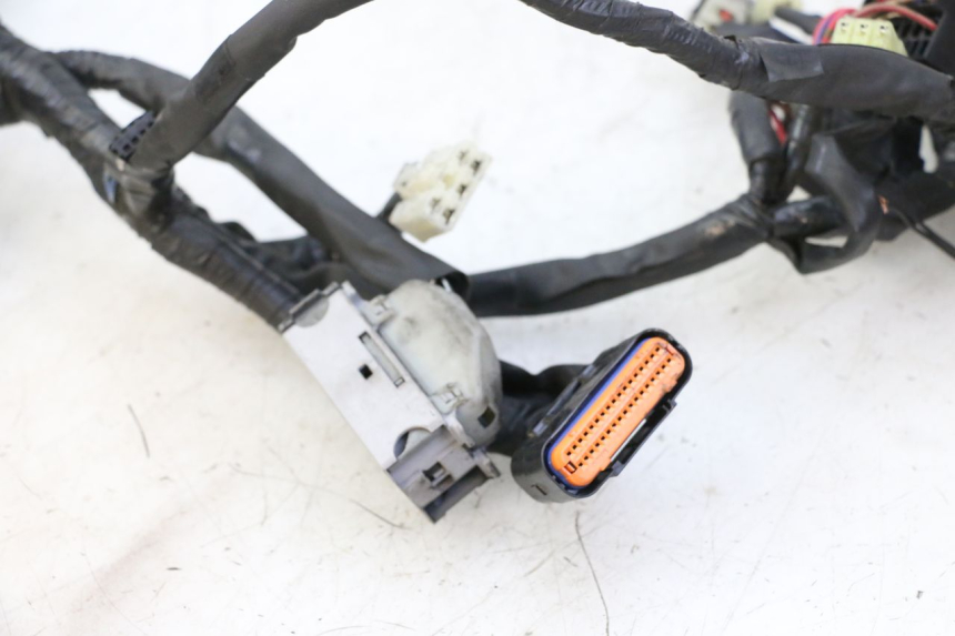 photo de CABLEADO YAMAHA XJ6 ABS 600 (2008 - 2016)
