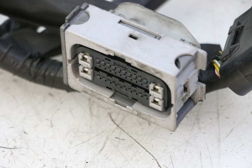 photo de CABLEADO YAMAHA XJ6 ABS 600 (2008 - 2016)