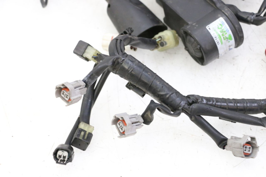 photo de CABLEADO YAMAHA XJ6 ABS 600 (2008 - 2016)
