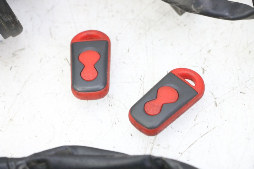 photo de CABLEADO YAMAHA XJ6 ABS 600 (2008 - 2016)