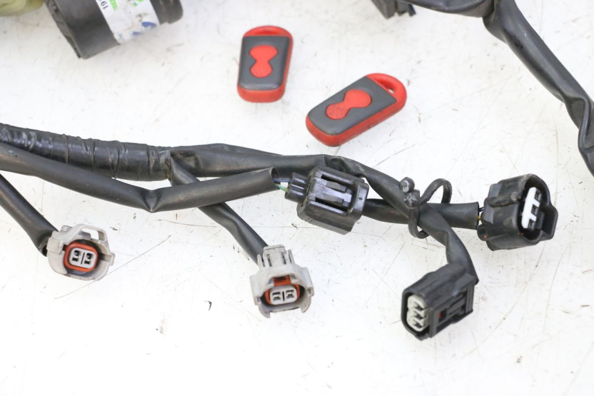 photo de CABLEADO YAMAHA XJ6 ABS 600 (2008 - 2016)