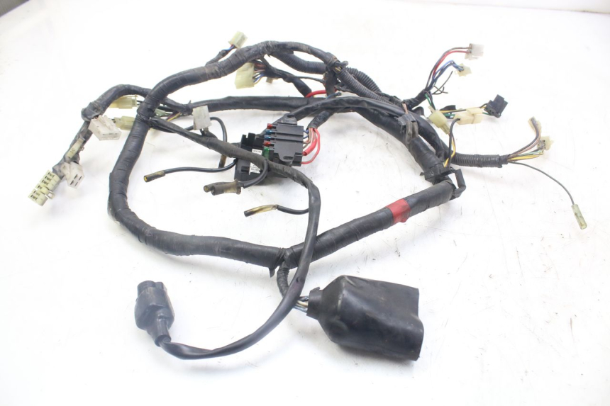 photo de CABLEADO YAMAHA XJN DIVERSION 600 (2000 - 2003)