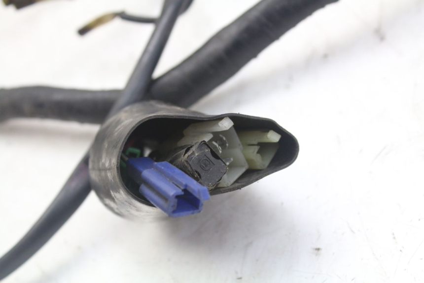 photo de CABLEADO YAMAHA XJN DIVERSION 600 (2000 - 2003)