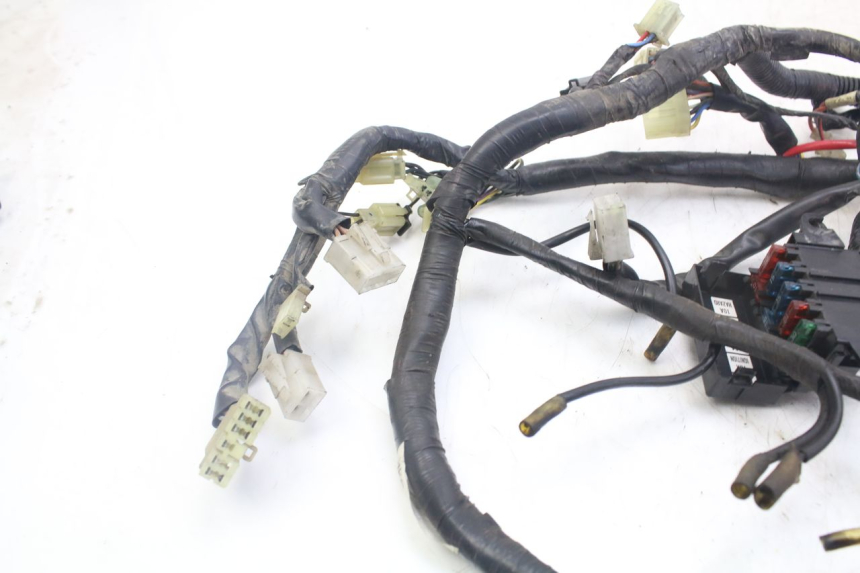 photo de CABLEADO YAMAHA XJN DIVERSION 600 (2000 - 2003)