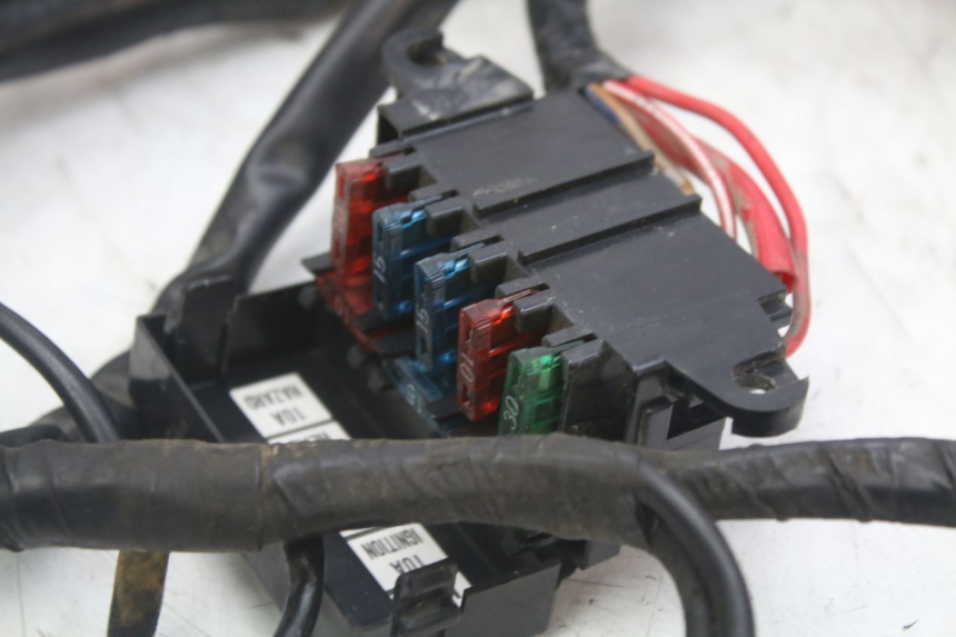photo de CABLEADO YAMAHA XJN DIVERSION 600 (2000 - 2003)