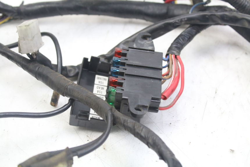 photo de CABLEADO YAMAHA XJN DIVERSION 600 (2000 - 2003)