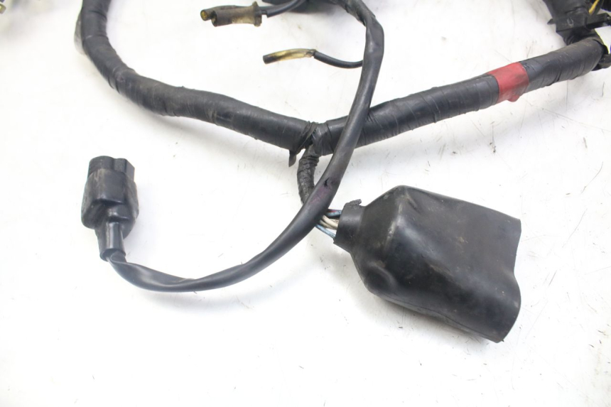 photo de CABLEADO YAMAHA XJN DIVERSION 600 (2000 - 2003)