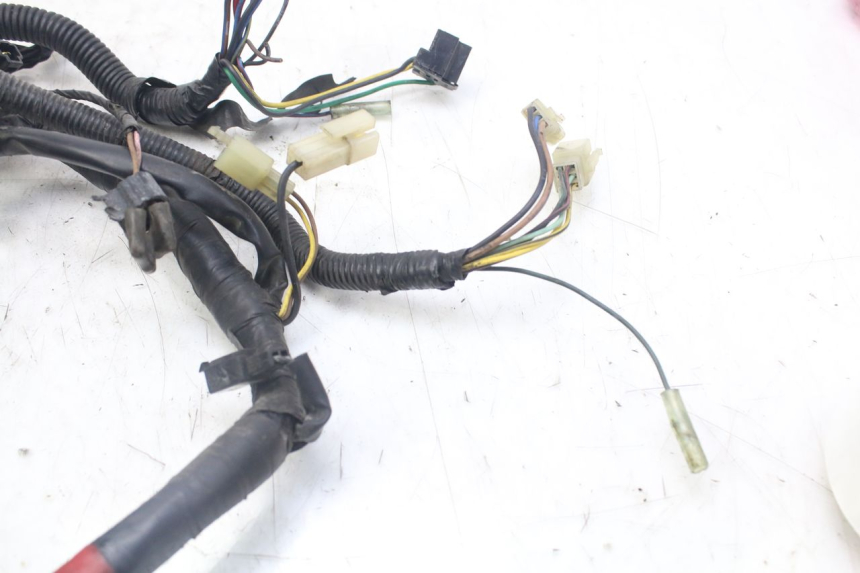 photo de CABLEADO YAMAHA XJN DIVERSION 600 (2000 - 2003)