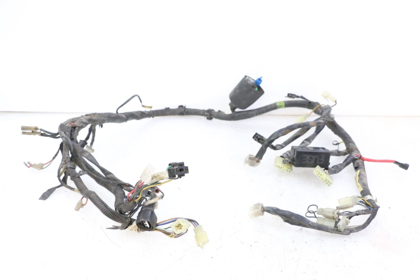 photo de CABLEADO YAMAHA XJN DIVERSION 600 (2000 - 2003)