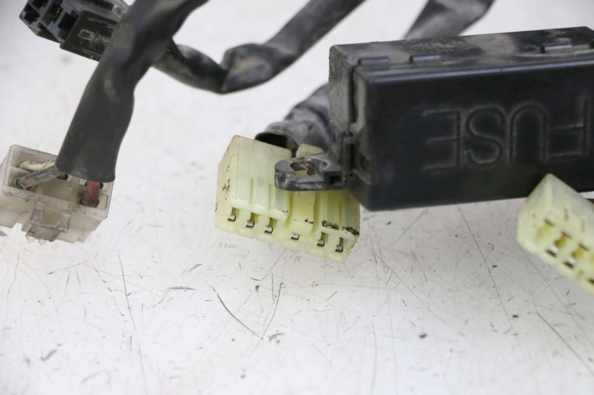 photo de CABLEADO YAMAHA XJN DIVERSION 600 (2000 - 2003)