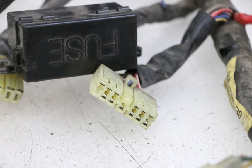 photo de CABLEADO YAMAHA XJN DIVERSION 600 (2000 - 2003)