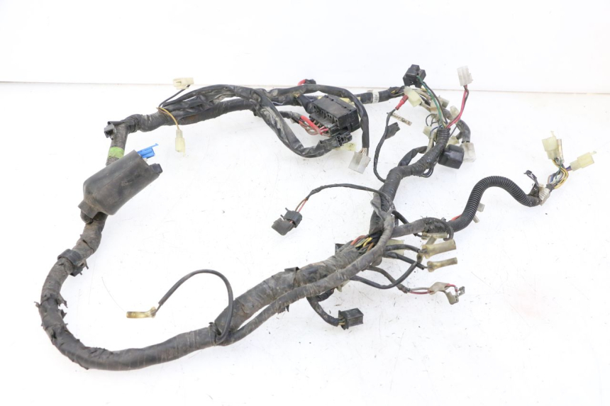 photo de CABLEADO YAMAHA XJN DIVERSION 600 (2000 - 2003)