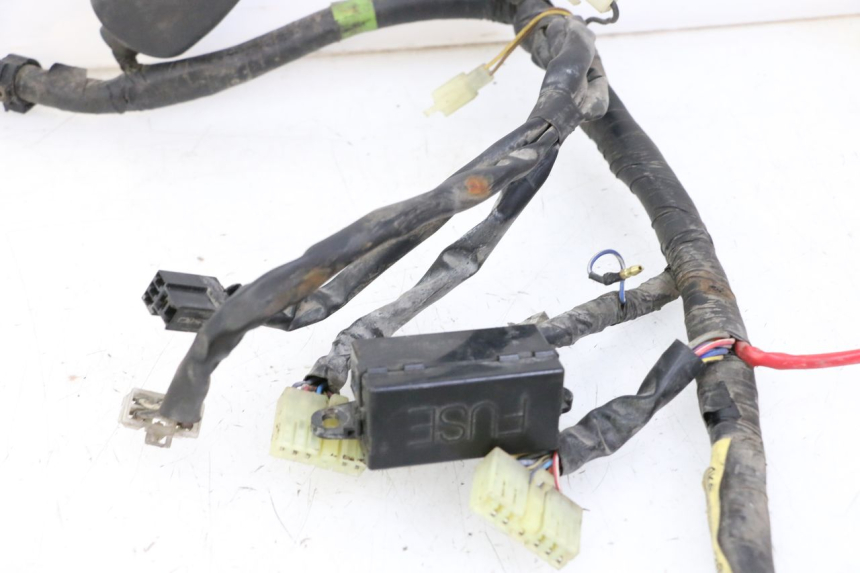 photo de CABLEADO YAMAHA XJN DIVERSION 600 (2000 - 2003)