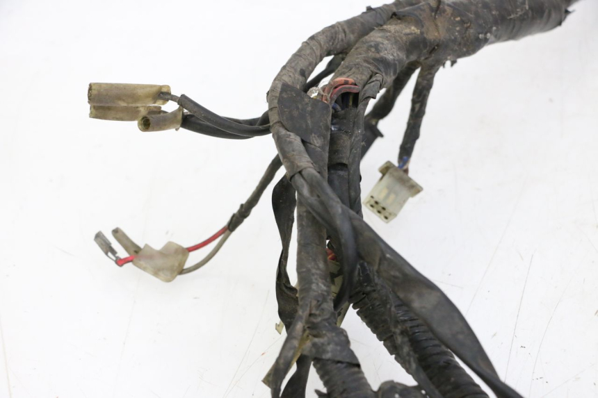 photo de CABLEADO YAMAHA XJN DIVERSION 600 (2000 - 2003)