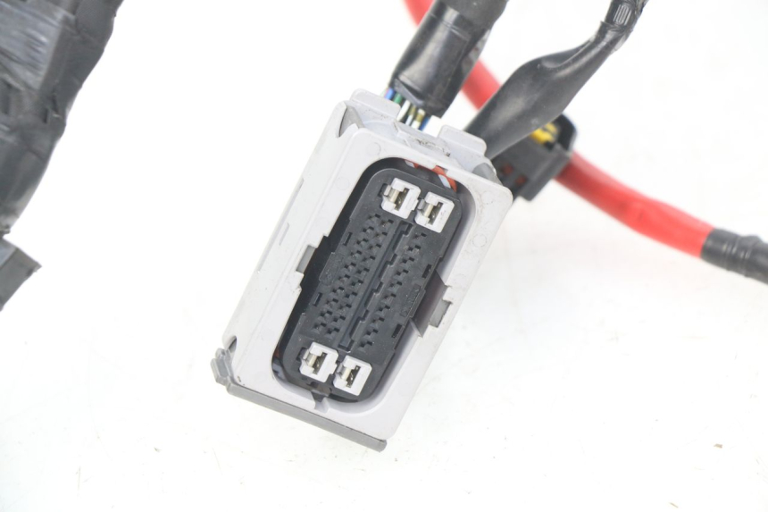 photo de CABLEADO YAMAHA XP T-MAX TMAX ABS 530 (2012 - 2015)