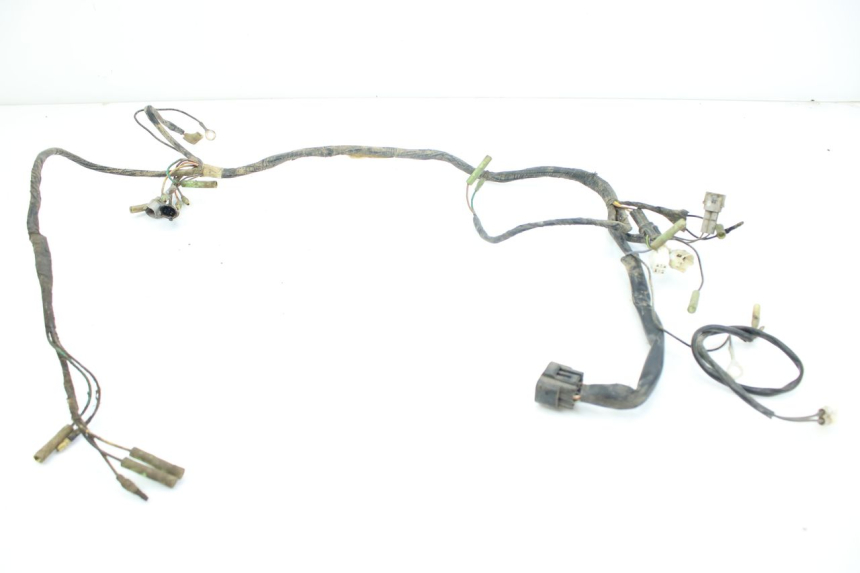 photo de CABLEADO YAMAHA BLASTER 200 (2003 - 2007)
