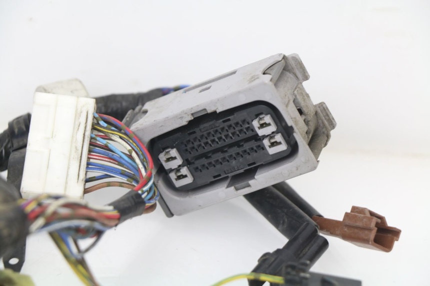 photo de CABLEADO YAMAHA FJR ABS 1300 (2006 - 2012)