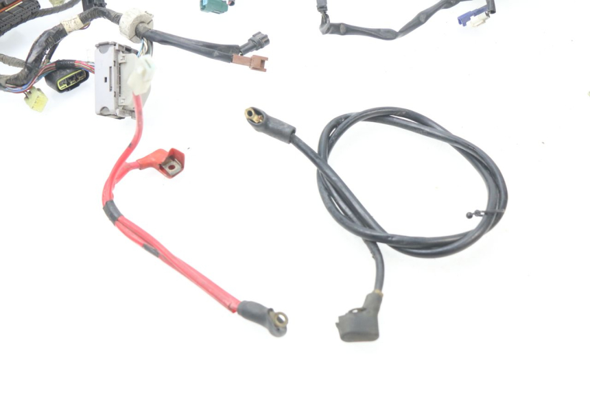 photo de CABLEADO YAMAHA FJR ABS 1300 (2006 - 2012)