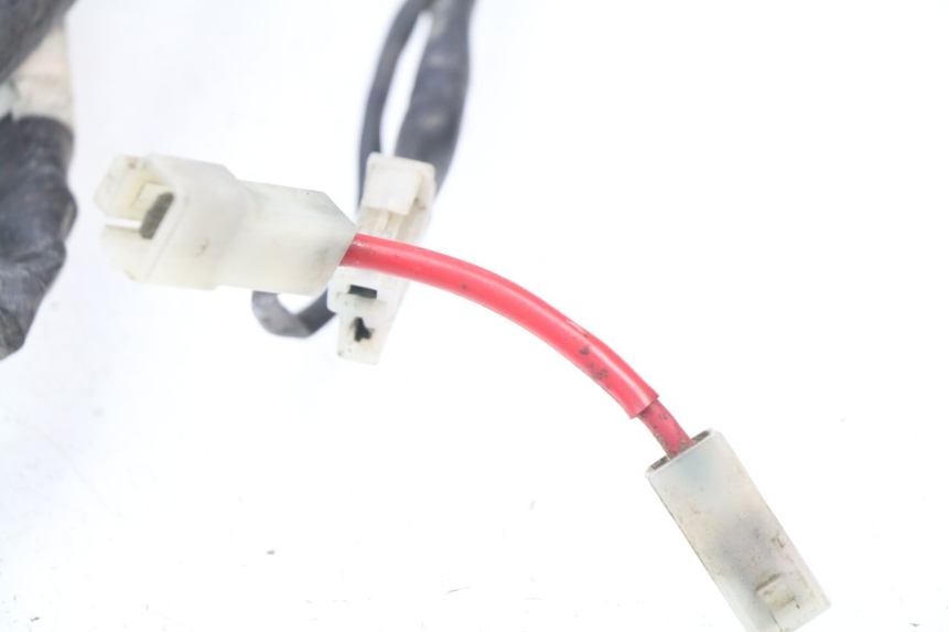 photo de CABLEADO YAMAHA FJR ABS 1300 (2006 - 2012)