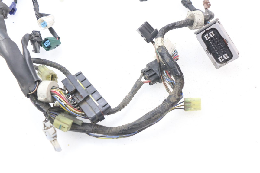 photo de CABLEADO YAMAHA FJR ABS 1300 (2006 - 2012)