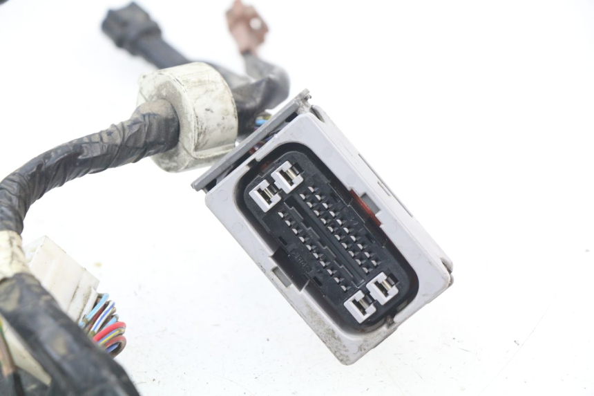 photo de CABLEADO YAMAHA FJR ABS 1300 (2006 - 2012)