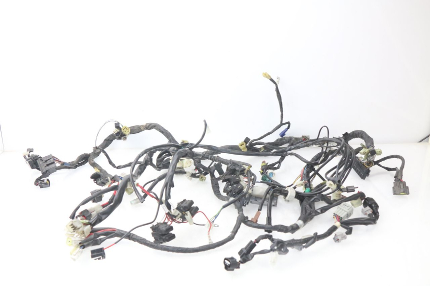 photo de CABLEADO YAMAHA FJR ABS 1300 (2006 - 2012)