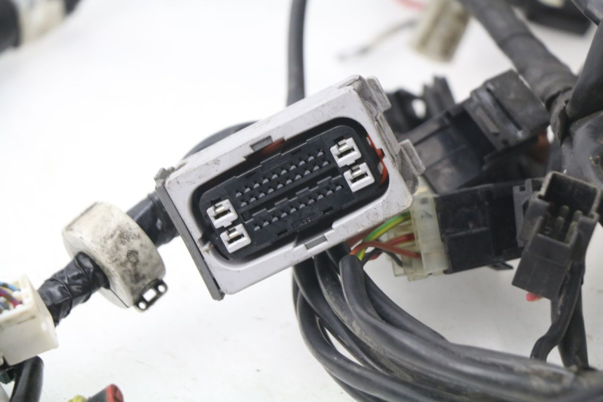 photo de CABLEADO YAMAHA FJR ABS 1300 (2006 - 2012)