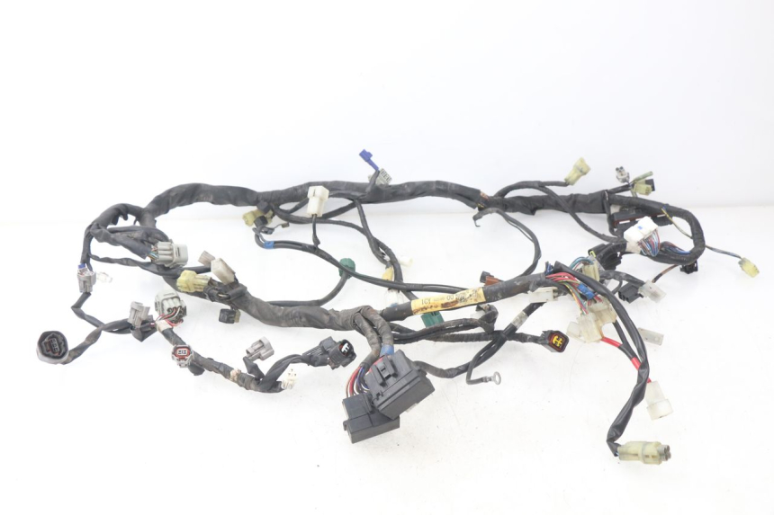 photo de CABLEADO YAMAHA FJR ABS 1300 (2006 - 2012)