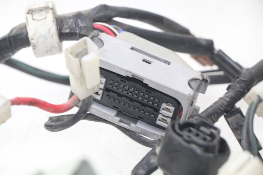 photo de CABLEADO YAMAHA FJR ABS 1300 (2006 - 2012)