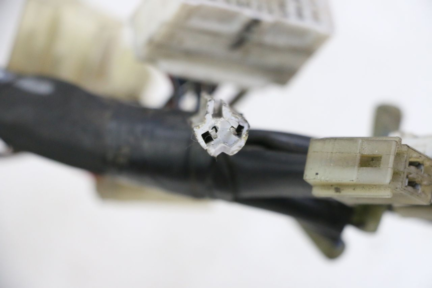 photo de CABLEADO YAMAHA FZ6 FAZER S2 600 (2007 - 2011)