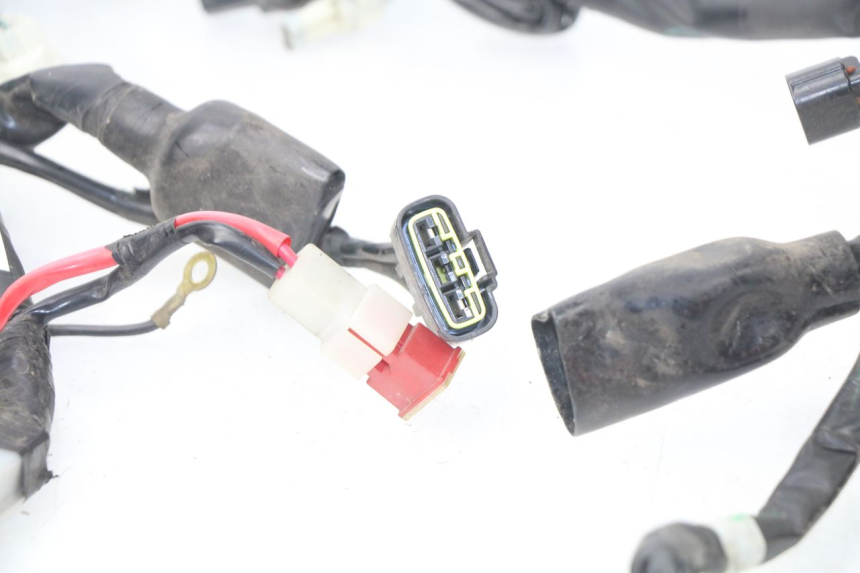 photo de CABLEADO YAMAHA FZ8 800 (2010 - 2016)