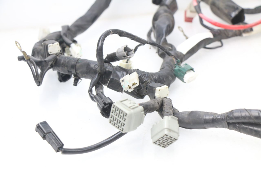 photo de CABLEADO YAMAHA FZ8 800 (2010 - 2016)