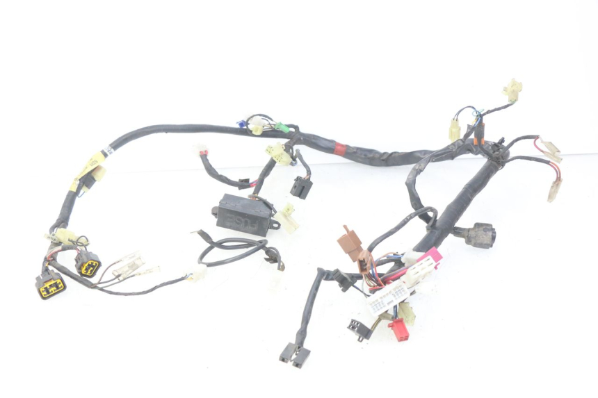 photo de CABLEADO YAMAHA FZS FAZER 600 (1998 - 2001)