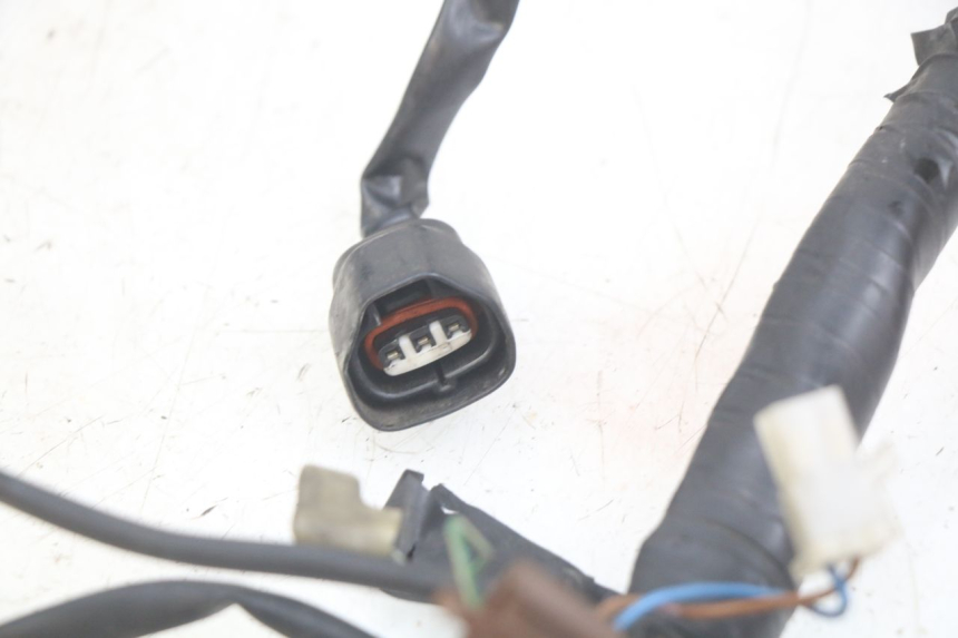 photo de CABLEADO YAMAHA FZS FAZER 600 (1998 - 2001)